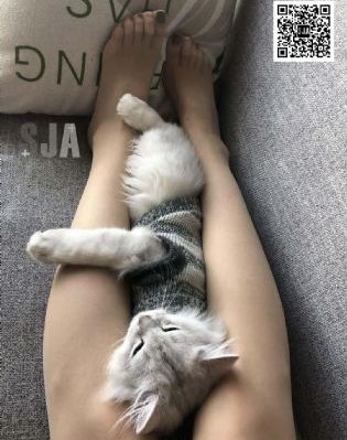 欧美黑人成人免费全部_超清日本电影免费